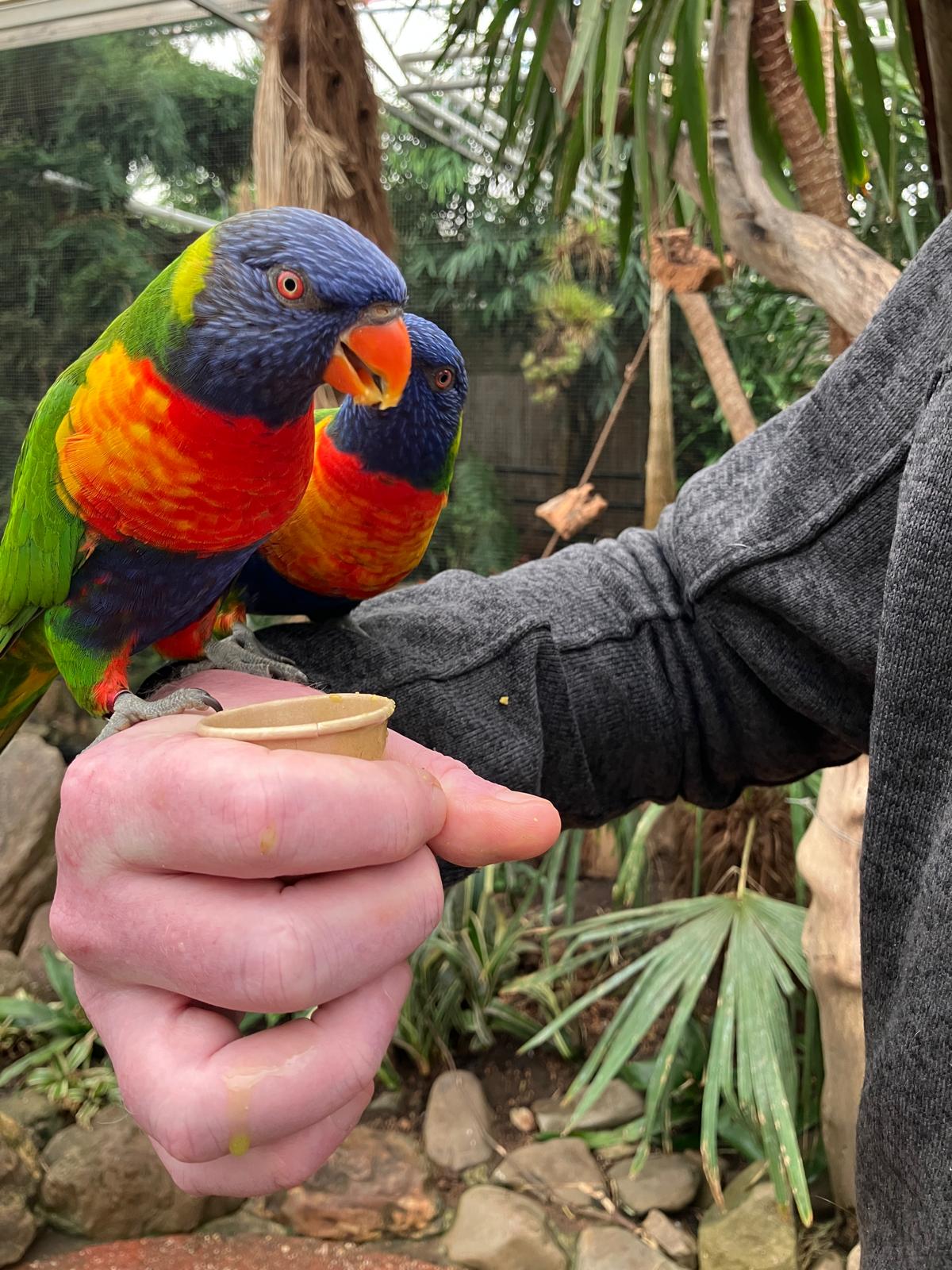 Foto 38 bij artikel "Uitje naar de Orchideenhoeve in Luttelgeest".